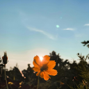 𝒰𝓃𝓈𝓅𝑜𝓀𝑒𝓃 𝒯𝒽𝑜𝓊𝑔𝒽𝓉𝓈 Discord server icon