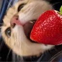 Strawberry 🍓
