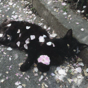 babydoa ദ്ദി◝ ⩊ ◜.ᐟ Discord server icon