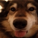 cali﹒co County Discord server icon