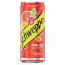 schweppes Discord server icon