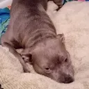 The friendly hangout discord icon