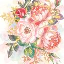 bloom