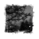 ༝  boku no hero ;  timeskip . ⋮  ꒰ঌ ໒꒱ Discord server icon