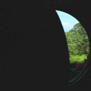 🍃 𝒯𝒽𝑒 𝒮𝒽𝒾𝓇𝑒 🍄 Discord server icon