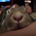 Eddie Weddies Server Werver Discord server icon