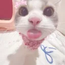 Poopyheads Discord Server Icon