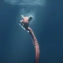 Lost Souls discord icon