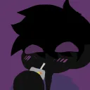 Shadow's Universe