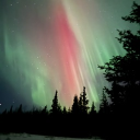 The Curse of Arcadia | Whump RP Writing Discord server icon