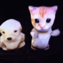 ˗ˏˋｐａｐｕｓˎˊ˗