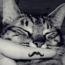 Villainized 2.0 Discord server icon