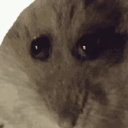 Hampty's world Discord server icon