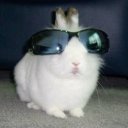 bunny burrow Discord server icon