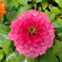 𝓔-𝓚𝓲𝓽𝓽𝓮𝓷 𝓗𝓪𝓿𝓮𝓷 Discord Server Icon