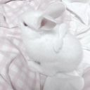 dollface Discord server icon