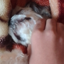 After Hour Discord server icon