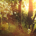 𝒫retty 𝒮ouls ་༘࿐ Discord server icon