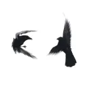 ►ВОЙЗИ —VOIZY◄