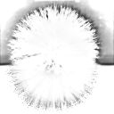 Bleached Feather Discord server icon