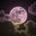 粉月 • Pink Moon