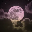 粉月 • Pink Moon