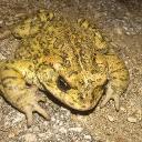 Philosophy Basement (PB)