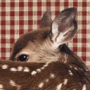 Server icon for The Little Woods