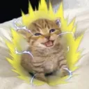 Cat Fighting Games Discord Server Icon
