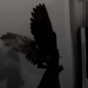 𝜗ৎ 𝒂𝒔𝒄𝒆𝒏𝒔𝒊𝒐𝒏 𝜗ৎ Discord server icon