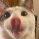 BludBath Discord server icon