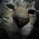 Schizos Discord server icon