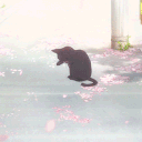 ✧purrkit ᥫ᭡.ִֶָ𓂃 | main us! Discord server icon