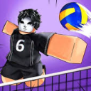 Volleyball Legends Trading Discord server icon