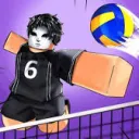 Volleyball Legends Trading