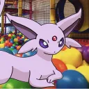 The Ball Pit