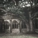 𐔌 . ⋮       ᴡʜᴀᴛ ᴄᴏᴜʟᴅ ʜᴀᴠᴇ ʙᴇᴇɴ  ﹙𝟏 𝟖  +﹚    .ᐟ ֹ ₊ ꒱