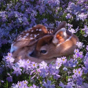 Retro Hideout Discord server icon