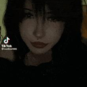 ▽ velvet vixens Discord server icon