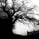 💋 ₊ ˚ princess syndrome 🫧 Discord server icon