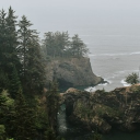 Whispering Redwoods Discord server icon