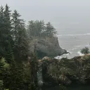 Whispering Redwoods