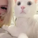 maow