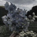 𑣲 𝜗ৎ ಄  ℐ 𝓂𝒾𝓈𝓈 𝓉𝒽ℯ 𝓆𝓊𝒾ℯ𝓉 / 𝒶𝒷𝒶𝓃𝒹ℴ𝓃ℯ𝒹 𝓁ℴ𝓋ℯ ಄𝜗ৎ𑣲 Discord server icon