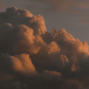 The Free World Discord server icon