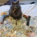 /win