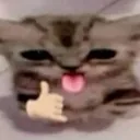 💛✨Jasi & Oomfs✨💛