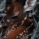 ୨୧ Fawn ⊱ ۫ ׅ ✧