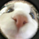 🎀 𝕋𝕙𝕖 ℂ𝕙𝕒𝕠𝕤 ℂ𝕠𝕣𝕟𝕖𝕣 🎀 Discord server icon