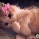 ꔫ꒰ 𝓚 - mizūri , 🌸 Discord server icon